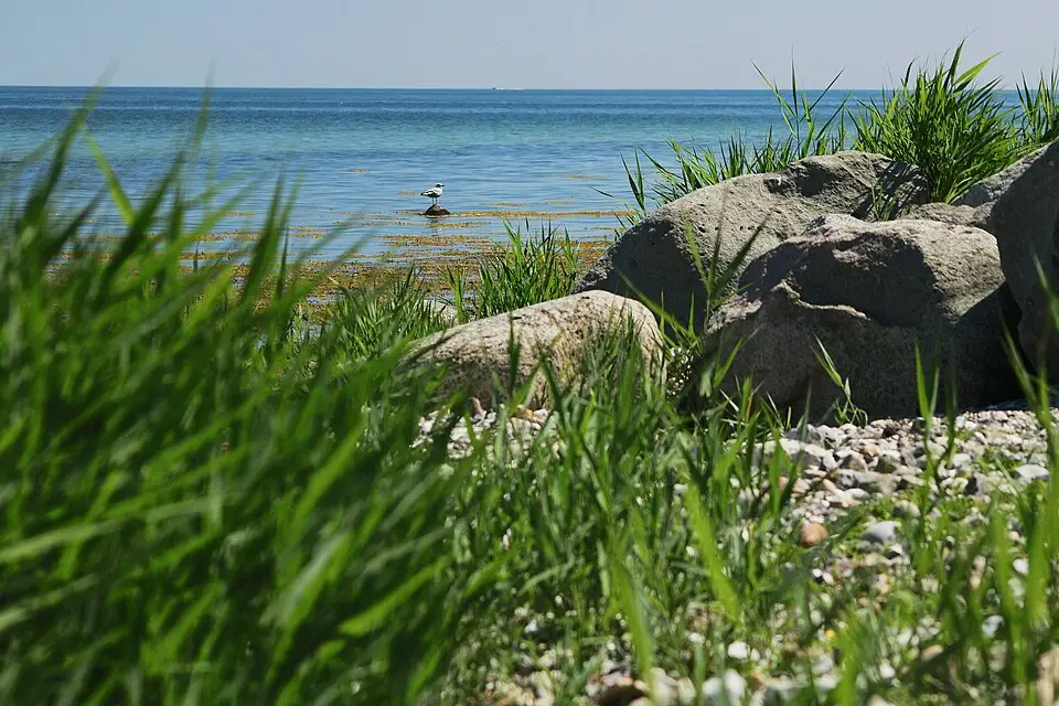 Authentischer Reisemoment in Ostsee – passend zu Adventsreise Ostsee mit dem Bus – Tipps zur Auswahl