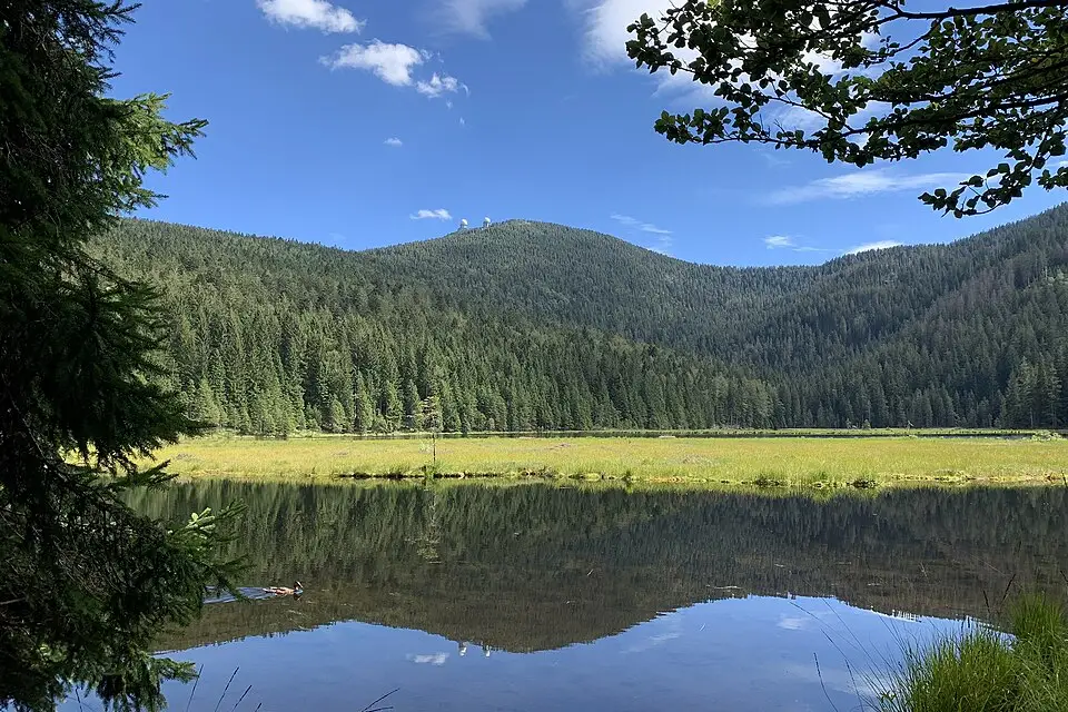 Landschaft und Sehenswürdigkeiten in Bayerischen Wald für Busreise Bayerischer Wald mit viel Freizeit – Reisecheck