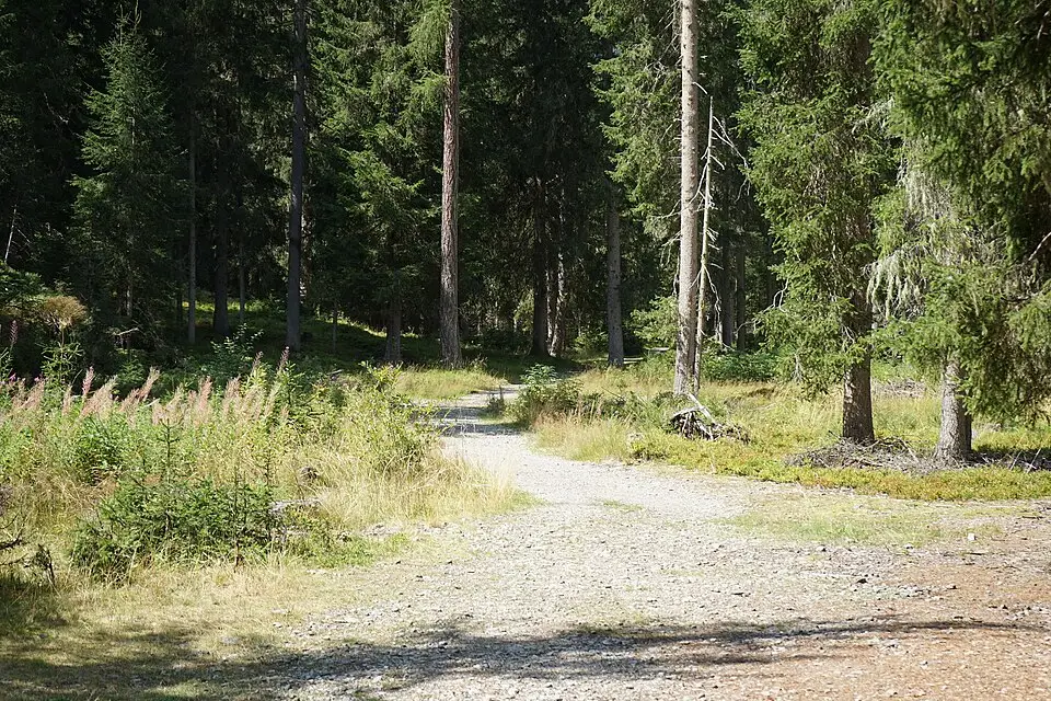 Authentischer Reisemoment in Tirol – passend zu Busreise Tirol mit Haustürabholung – Route & Leistungen