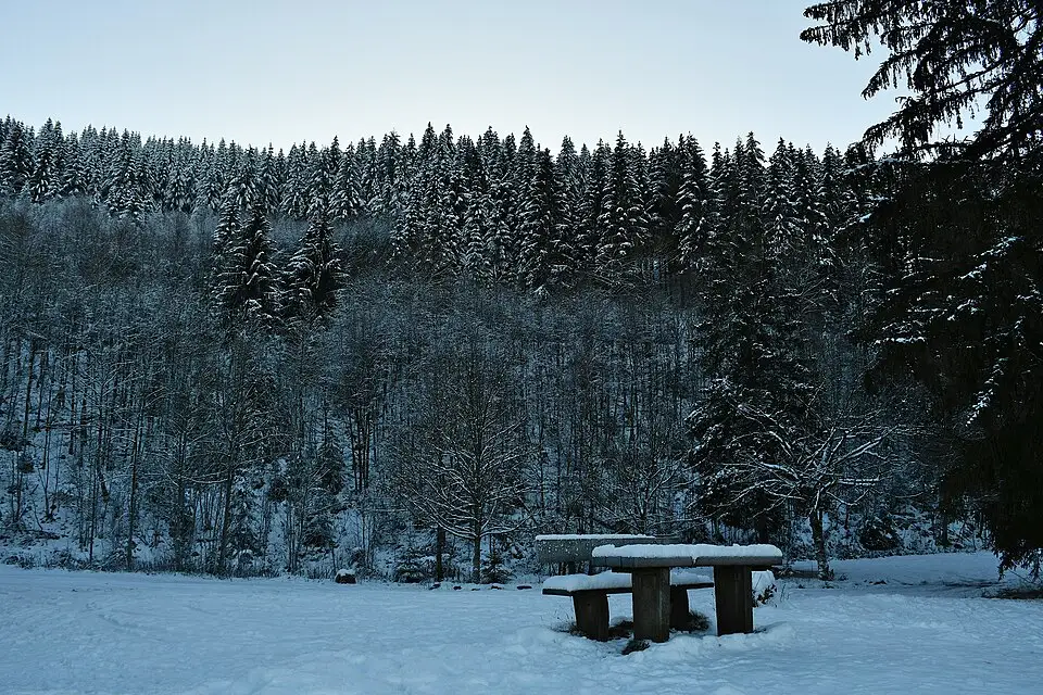 Authentischer Reisemoment in Harz – passend zu Kulturreise Harz mit dem Bus – Reiseguide