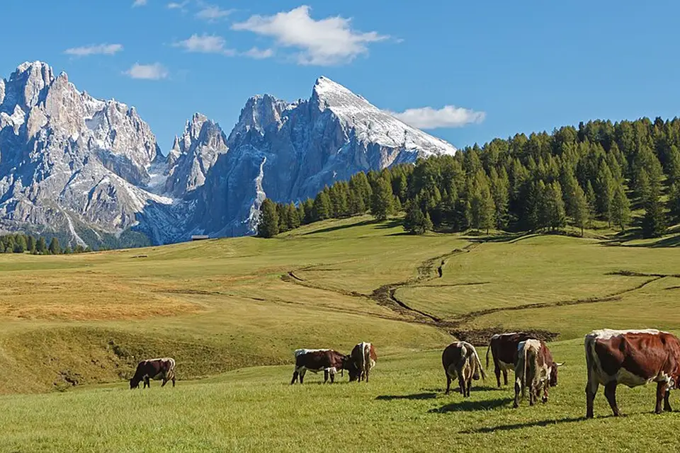 Authentischer Reisemoment in Südtirol – passend zu Vereinsreise Südtirol mit dem Bus – Reisecheck