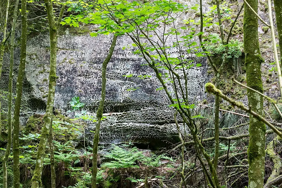 Landschaft und Sehenswürdigkeiten in Luxemburg für Gruppenreise Luxemburg mit dem Bus – Tipps zur Auswahl