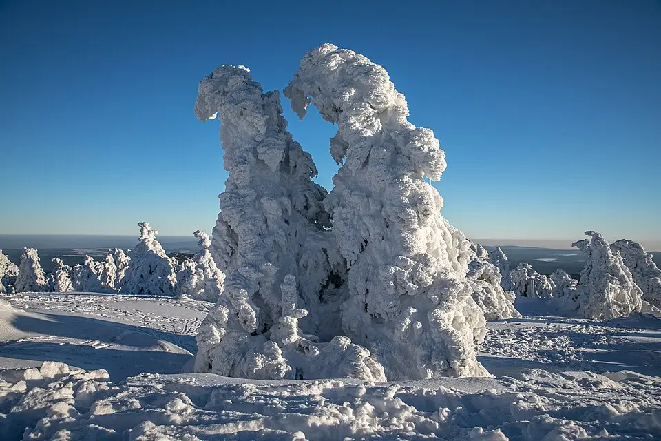 Authentischer Reisemoment in Harz – passend zu Busreise Harz für Paare – ehrlich eingeordnet