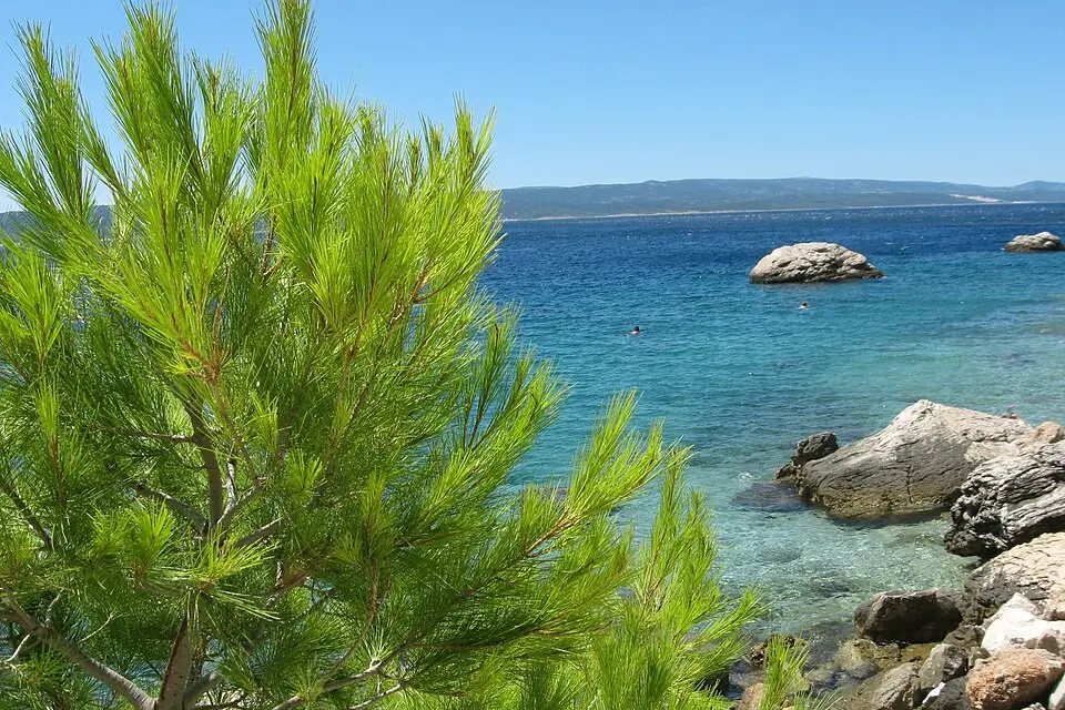 Stimmungsvolle Reiseansicht aus Dalmatien für Rundreise Dalmatien mit dem Bus – Reisecheck