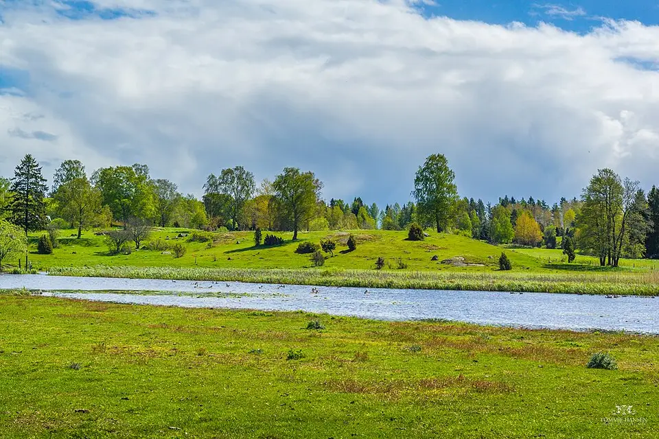 Authentischer Reisemoment in Stockholm – passend zu Busreise Stockholm im Sommer – Reiseguide