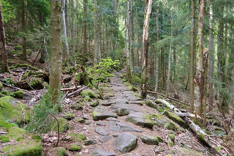 Landschaft und Sehenswürdigkeiten in Bayerischen Wald für Premium Busreise Bayerischer Wald – Reiseguide