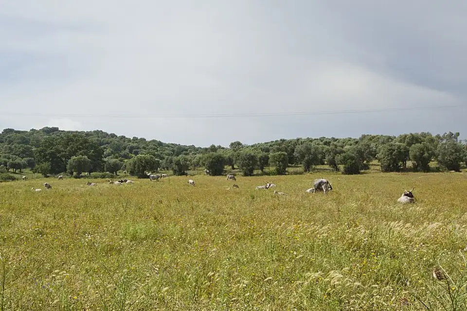 Authentischer Reisemoment in Toskana – passend zu Busreise Toskana für Senioren mit Haustürabholung – Reisecheck
