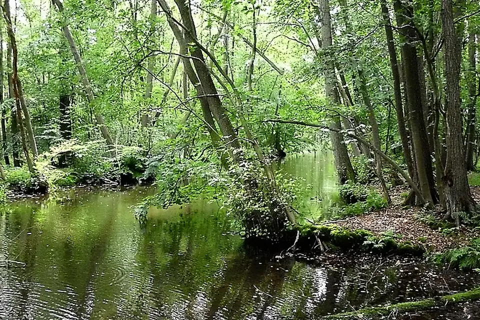 Stimmungsvolle Reiseansicht aus Mecklenburgischen Seenplatte für Mecklenburgische Seenplatte – Wellness-Busreise