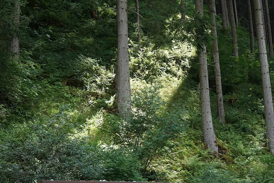 Landschaft und Sehenswürdigkeiten in Tirol für Busreise Tirol für Familien – Tipps zur Auswahl