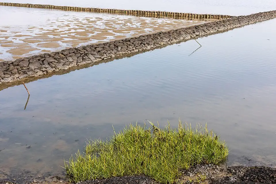 Landschaft und Sehenswürdigkeiten in Nordsee für Busreise Nordsee mit Halbpension – Reiseguide