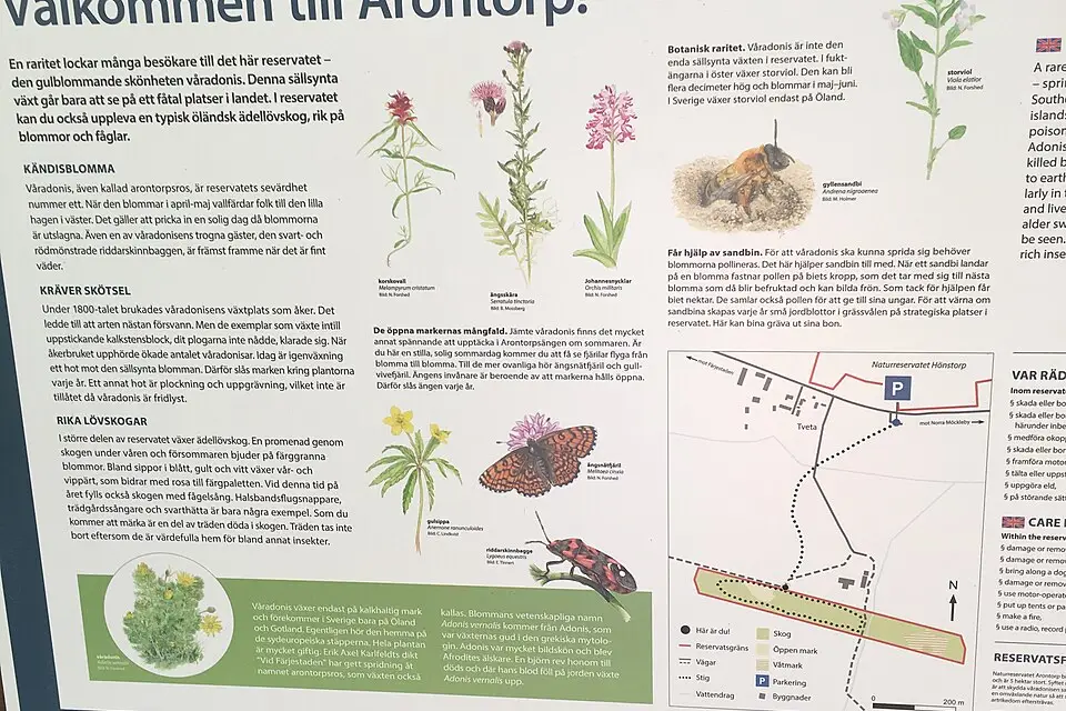 Landschaft und Sehenswürdigkeiten in Südschweden für Busreise Südschweden mit Schifffahrt – ehrlich eingeordnet