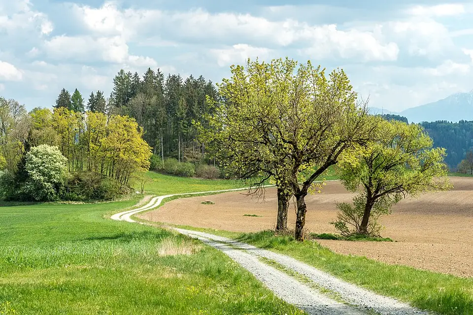 Stimmungsvolle Reiseansicht aus Kärnten für Busreise Kärnten mit Panoramabahn – Reiseguide