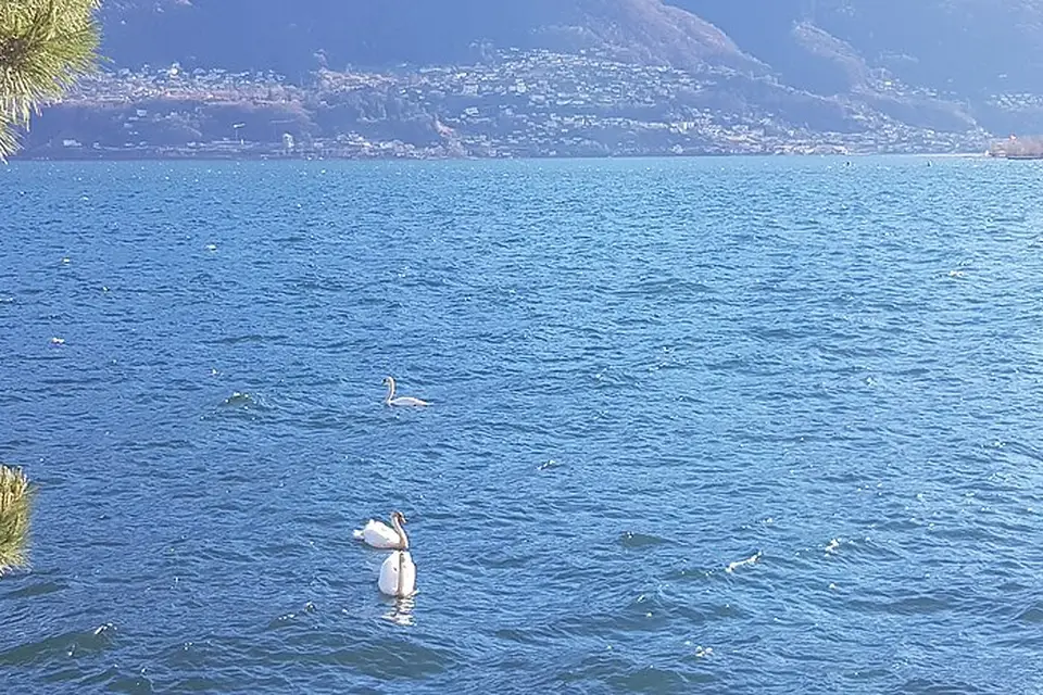 Landschaft und Sehenswürdigkeiten in Tessin für Wellnessreise Tessin mit dem Bus – Route & Leistungen