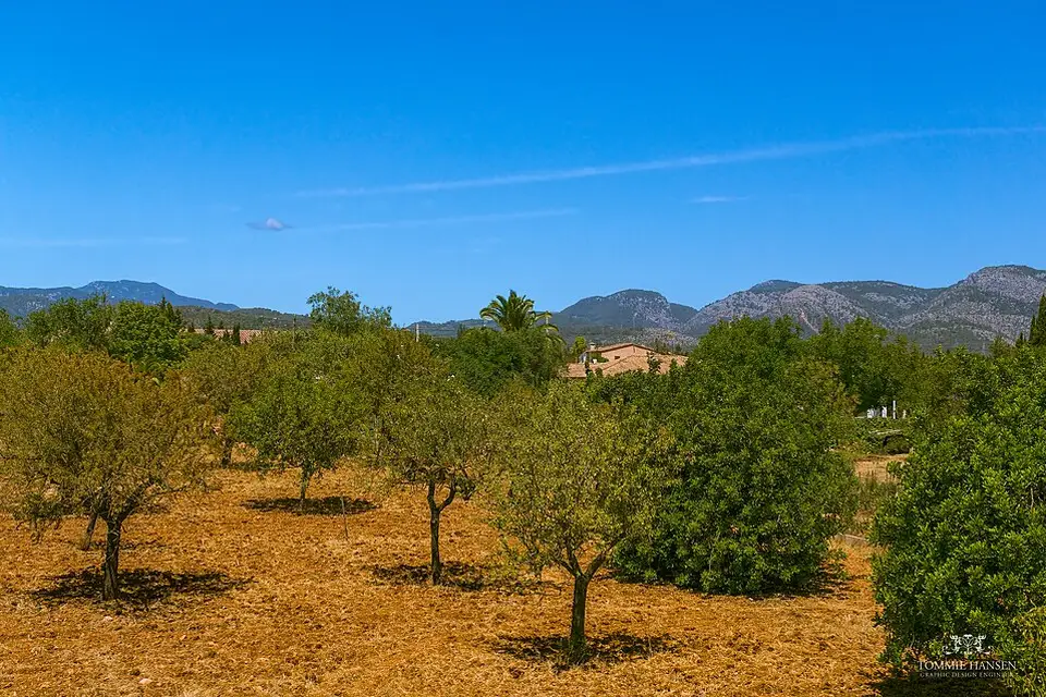 Authentischer Reisemoment in Stockholm – passend zu Busreise Stockholm mit Halbpension – ehrlich eingeordnet