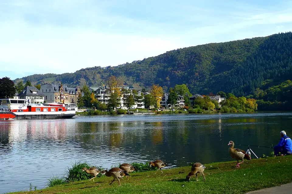 Stimmungsvolle Reiseansicht aus Mosel für Busreise Mosel für Senioren – Reisecheck