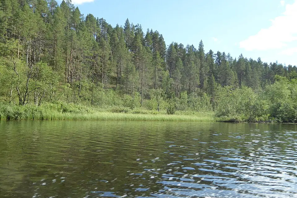 Stimmungsvolle Reiseansicht aus Finnland für Busreise Finnland mit 4-Sterne-Hotel – Route & Leistungen