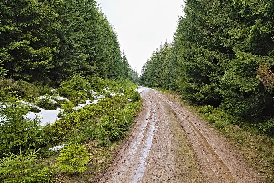 Stimmungsvolle Reiseansicht aus Harz für Busreise Harz ab Stuttgart – Route & Leistungen