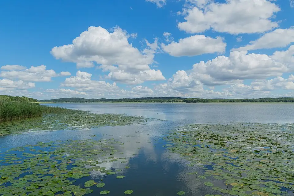 Authentischer Reisemoment in Mecklenburgischen Seenplatte – passend zu Busreise Mecklenburgische Seenplatte – Tipps zur Auswahl