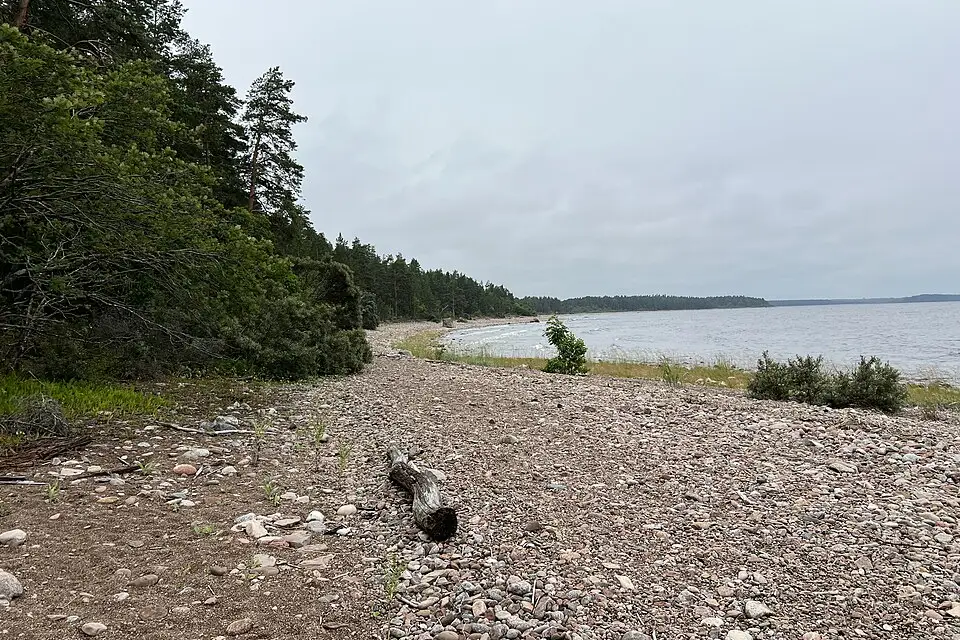 Authentischer Reisemoment in Ostsee – passend zu Busreise Ostsee mit Halbpension – ehrlich eingeordnet