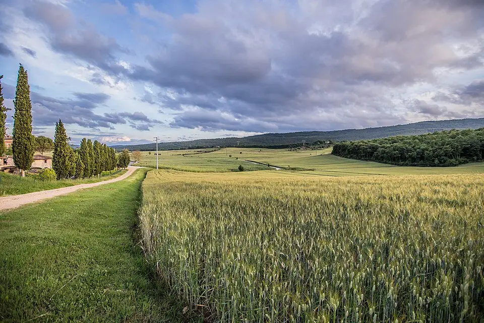 Authentischer Reisemoment in Toskana – passend zu Adventsreise Toskana mit dem Bus – Reiseguide