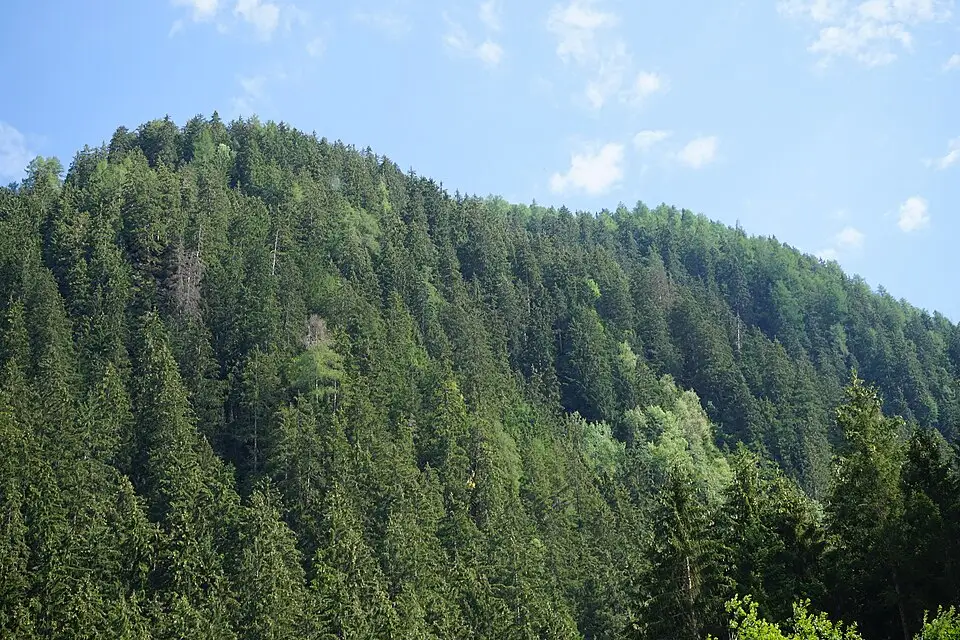 Authentischer Reisemoment in Tirol – passend zu Busreise Tirol 5 Tage – ehrlich eingeordnet