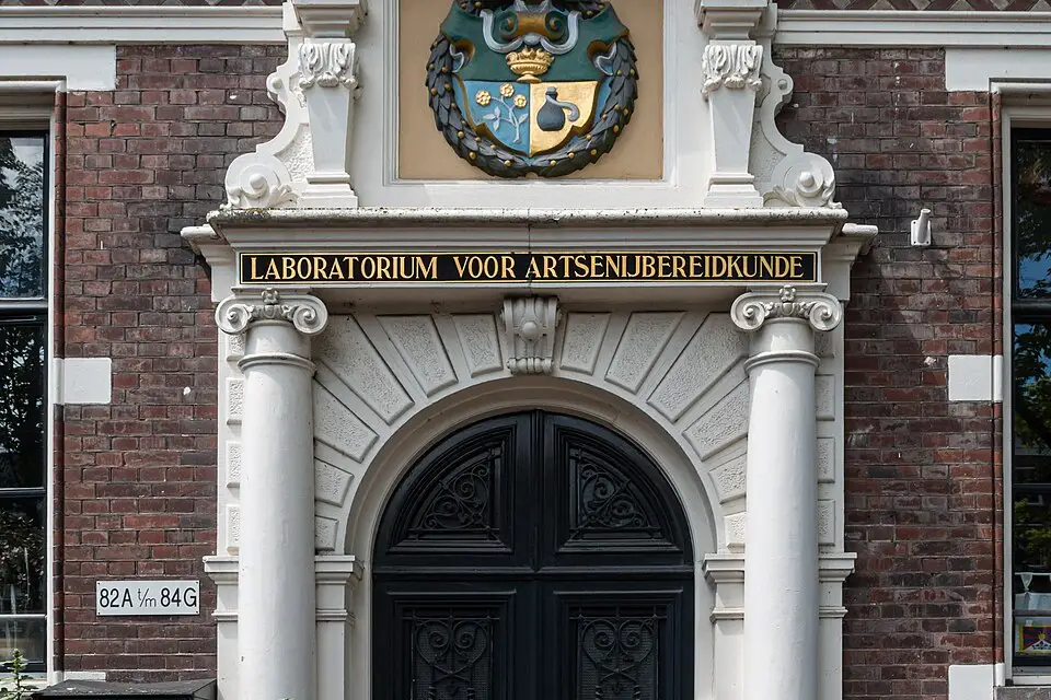 Authentischer Reisemoment in Amsterdam – passend zu Panoramareise Amsterdam mit dem Bus – Route & Leistungen