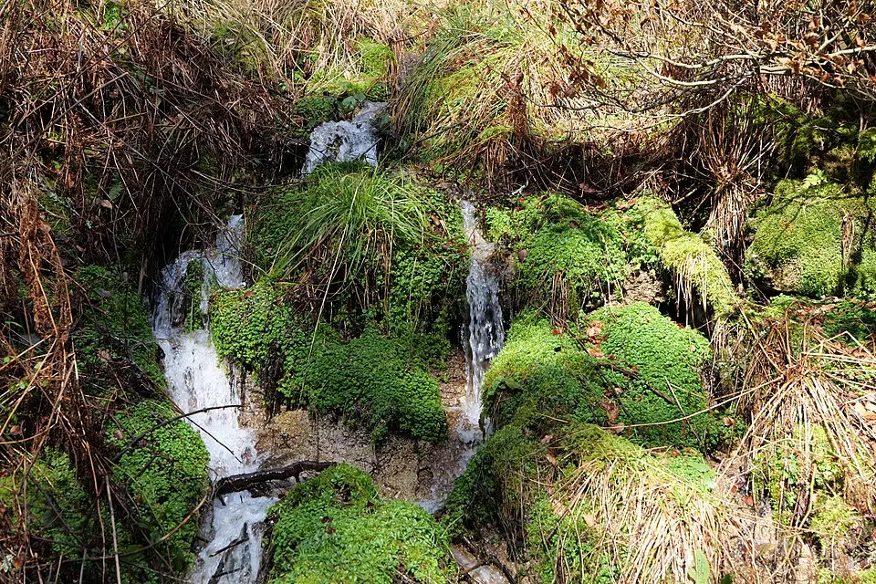 Landschaft und Sehenswürdigkeiten in Schwarzwald für Vereinsreise Schwarzwald mit dem Bus – ehrlich eingeordnet