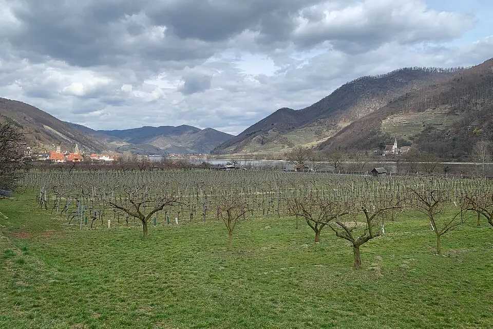 Authentischer Reisemoment in Wachau – passend zu Busreise Wachau ab Stuttgart – Reisecheck