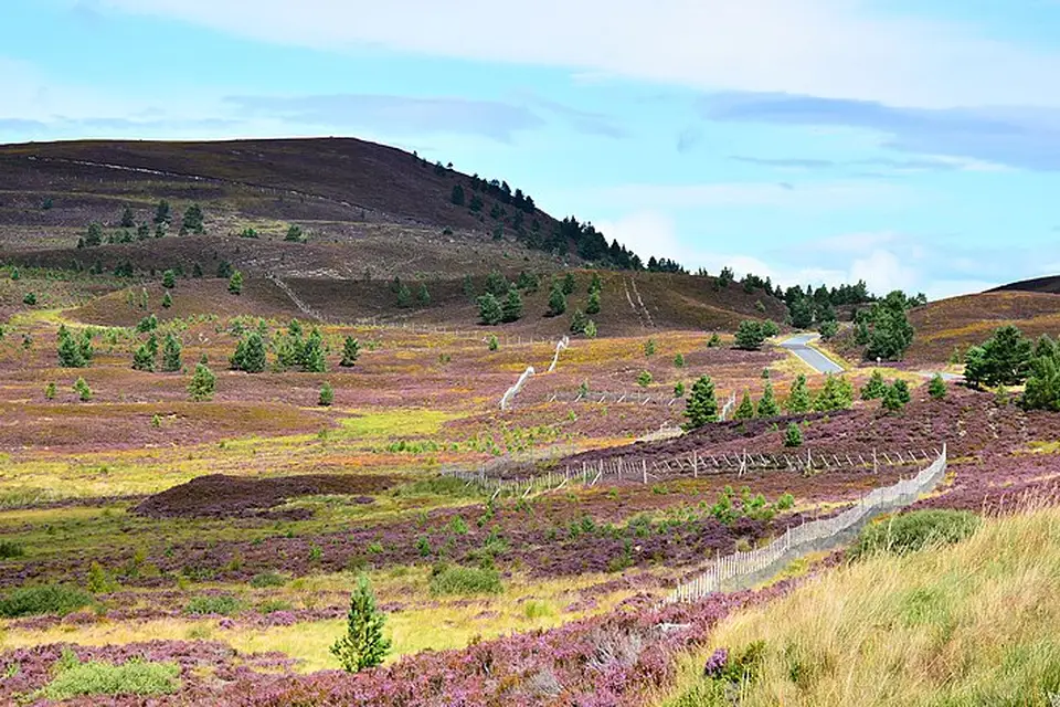 Landschaft und Sehenswürdigkeiten in Schottland für Busreise Schottland im Herbst – Route & Leistungen