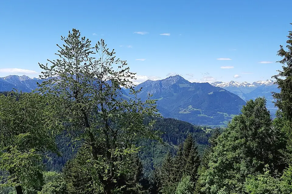 Landschaft und Sehenswürdigkeiten in Vorarlberg für Busreise Vorarlberg im Sommer – ehrlich eingeordnet