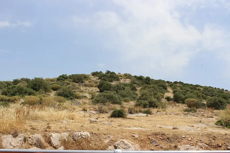 Authentischer Reisemoment in Athen – passend zu Kulturreise Athen mit dem Bus – Reisecheck