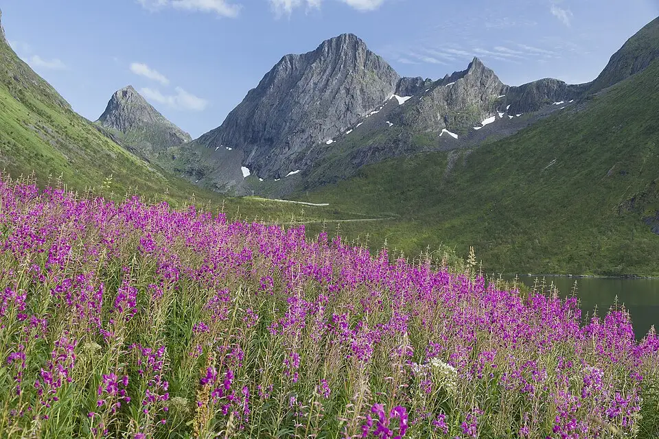 Authentischer Reisemoment in Norwegische Fjorde – passend zu Kulturreise Norwegische Fjorde mit dem Bus – Reisecheck