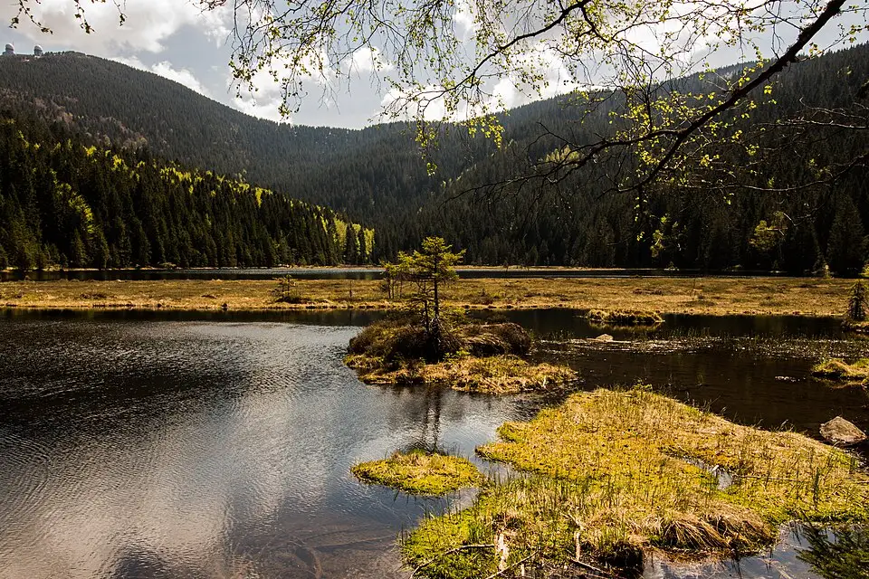 Authentischer Reisemoment in Bayerischen Wald – passend zu Busreise Bayerischer Wald 10 Tage – Tipps zur Auswahl