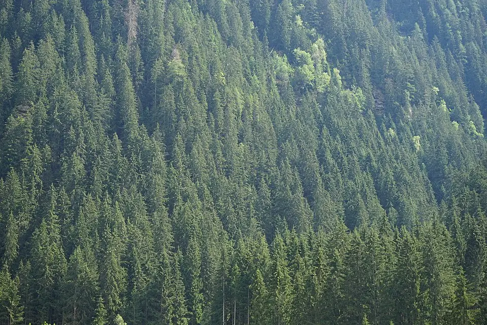 Landschaft und Sehenswürdigkeiten in Tirol für Erlebnisreise Tirol mit dem Bus – Tipps zur Auswahl