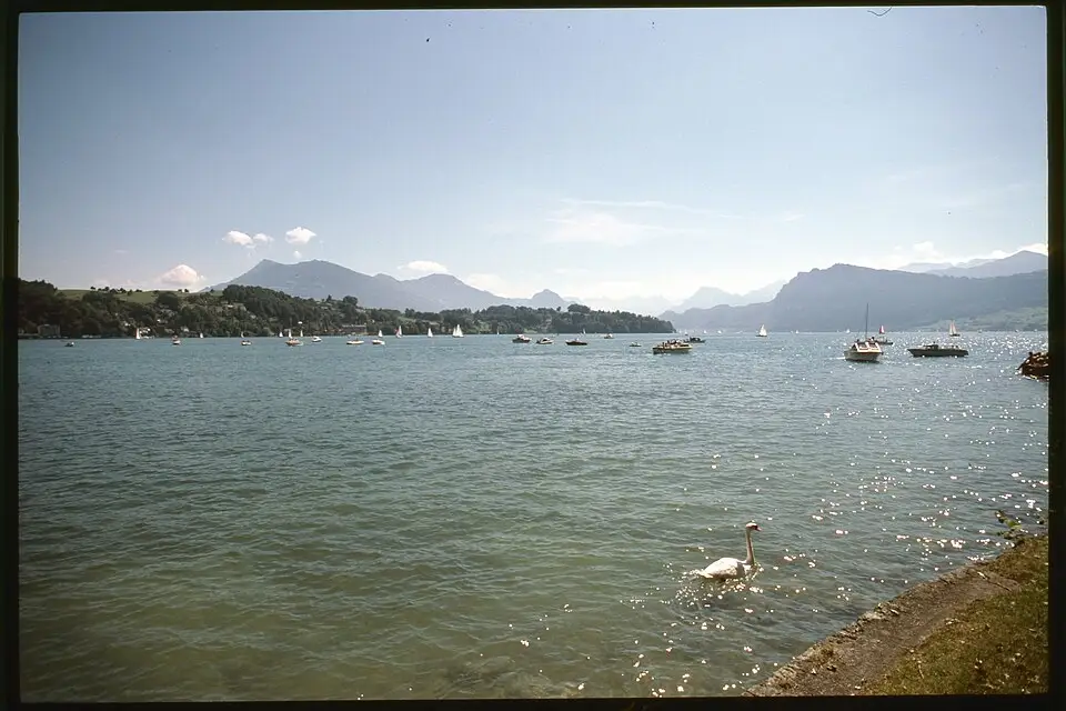 Landschaft und Sehenswürdigkeiten in Vierwaldstättersee für Busreise Vierwaldstättersee im Frühling – ehrlich eingeordnet