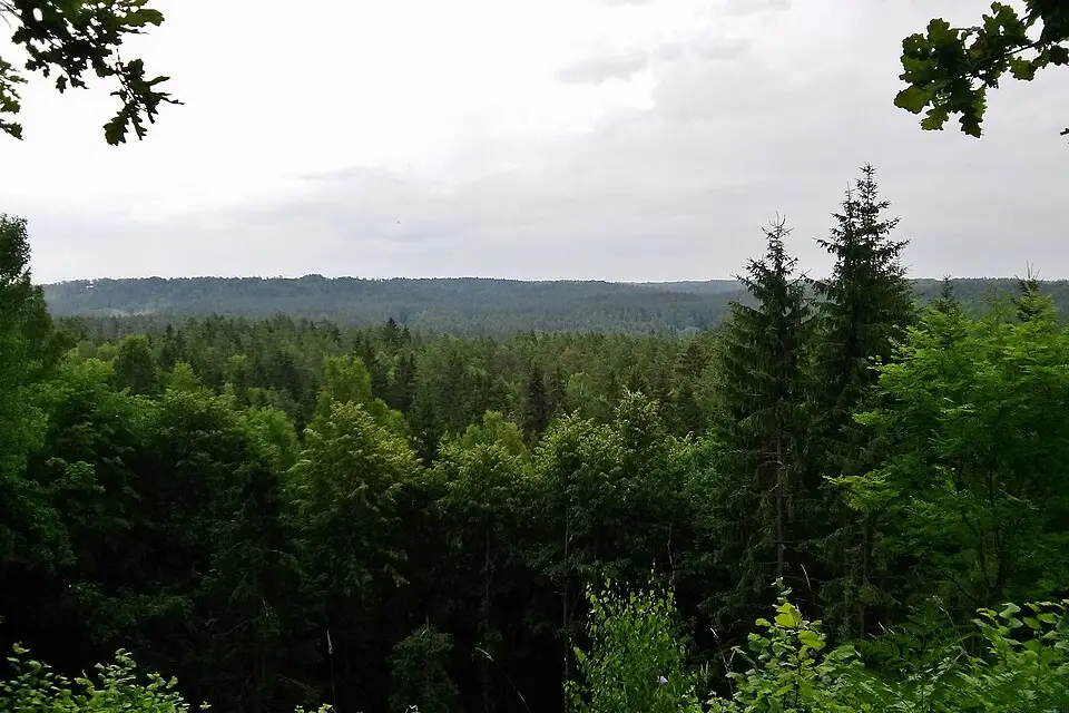 Landschaft und Sehenswürdigkeiten in Baltikum für Busreise Baltikum mit wenig Gehstrecke – Reiseguide