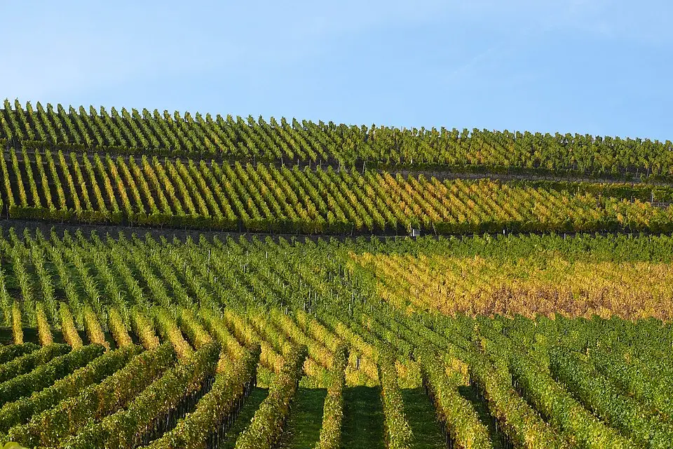 Authentischer Reisemoment in Luxemburg – passend zu Busreise Luxemburg 10 Tage – Tipps zur Auswahl