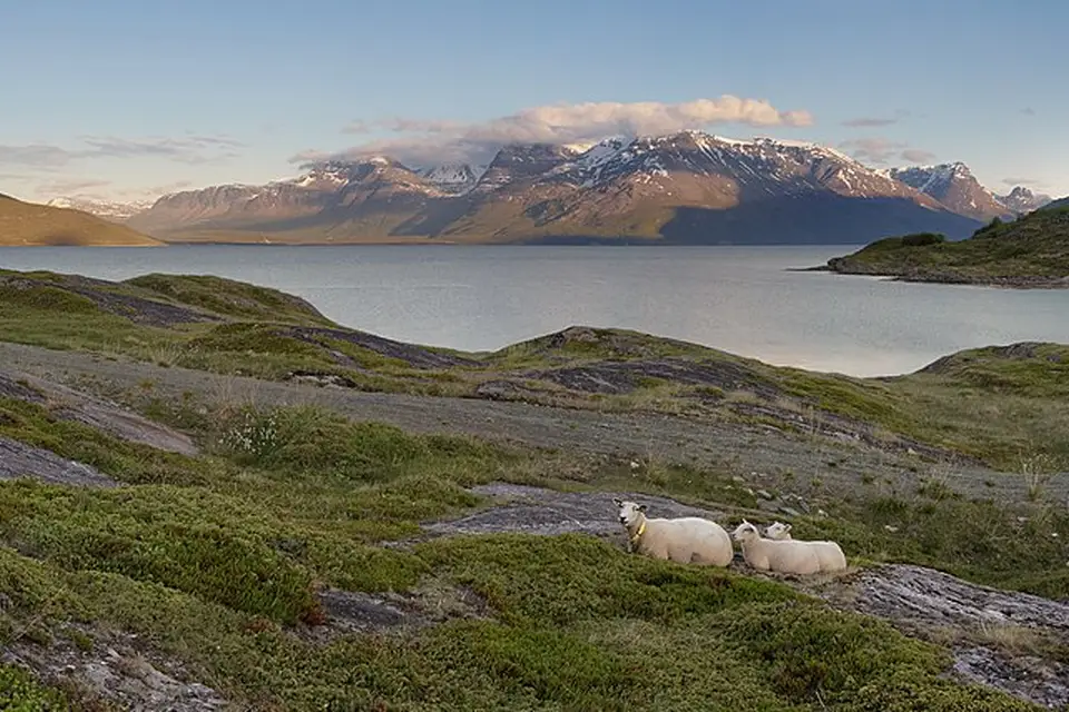 Authentischer Reisemoment in Norwegische Fjorde – passend zu Busreise Norwegische Fjorde ab Hamburg – Dauer & Komfort