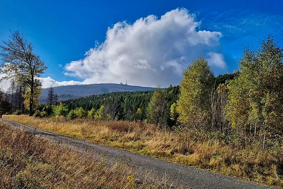 Stimmungsvolle Reiseansicht aus Harz für Busreise Harz im Herbst – Reisecheck