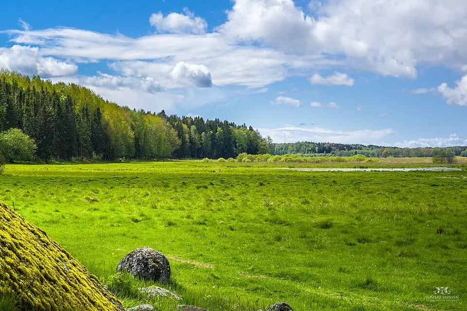 Landschaft und Sehenswürdigkeiten in Stockholm für Standortreise Stockholm mit dem Bus – Route & Leistungen