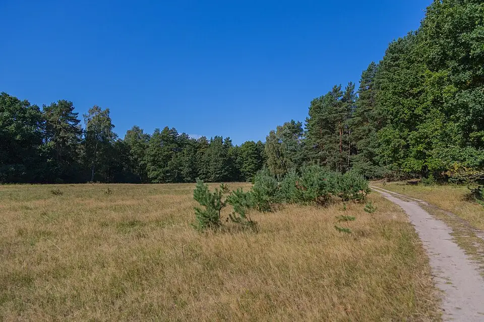 Authentischer Reisemoment in Mecklenburgischen Seenplatte – passend zu Mecklenburgische Seenplatte – Busreise mit Wahlprogramm