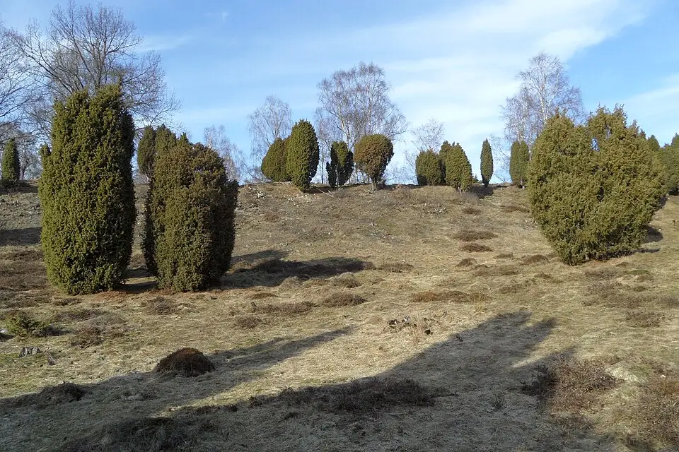 Landschaft und Sehenswürdigkeiten in Südschweden für Busreise Südschweden für Alleinreisende – Reisecheck