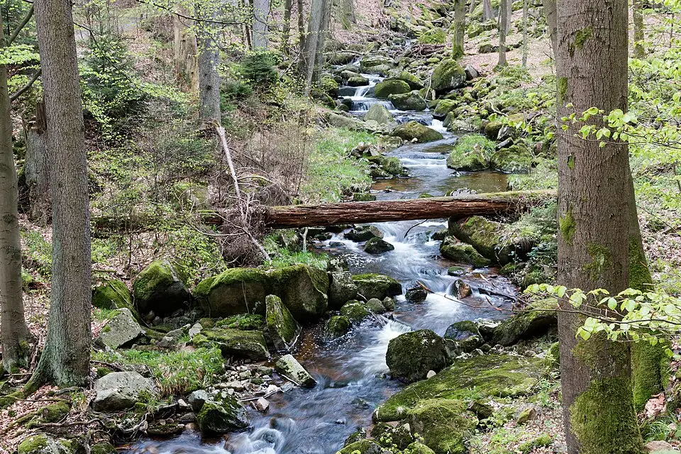 Landschaft und Sehenswürdigkeiten in Harz für Erlebnisreise Harz mit dem Bus – Dauer & Komfort
