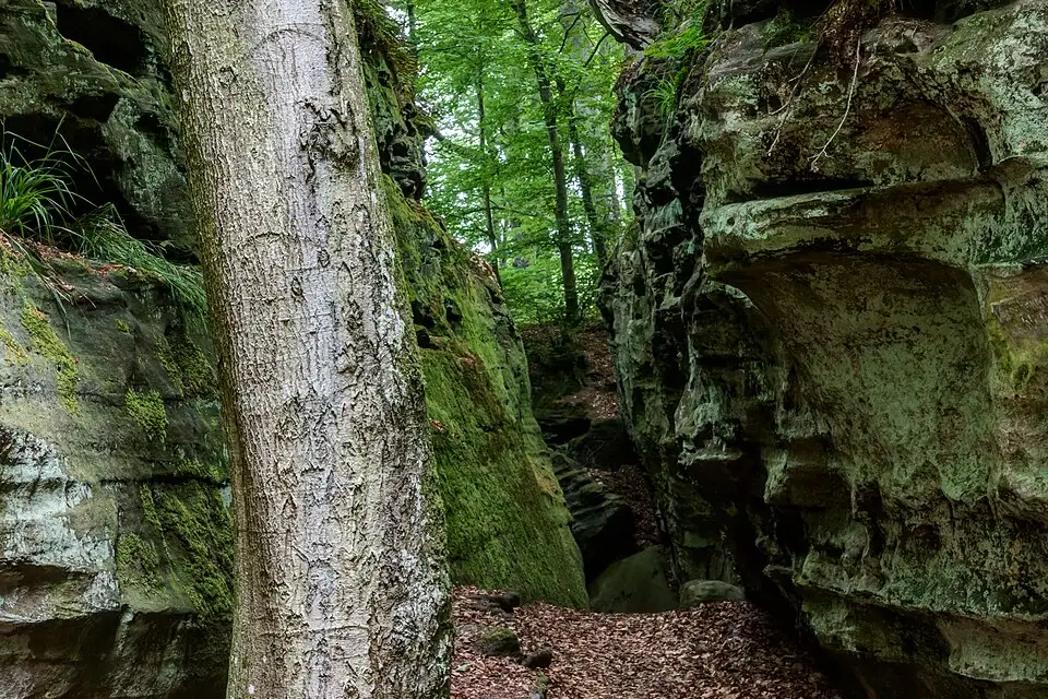Landschaft und Sehenswürdigkeiten in Luxemburg für Busreise Luxemburg 5 Tage – Dauer & Komfort
