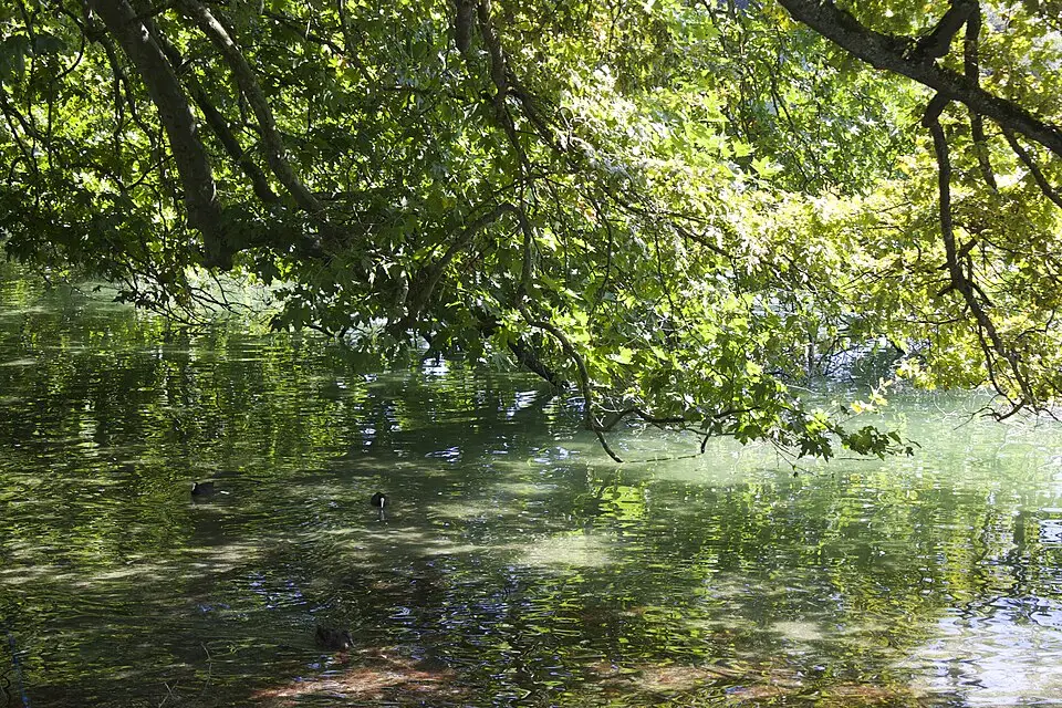 Landschaft und Sehenswürdigkeiten in Bodensee für Wellnessreise Bodensee mit dem Bus – Dauer & Komfort