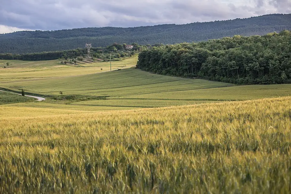 Stimmungsvolle Reiseansicht aus Toskana für Adventsreise Toskana mit dem Bus – Reiseguide