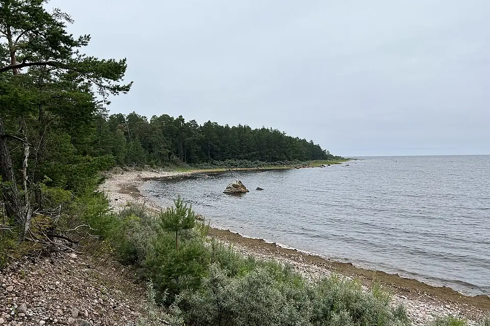 Authentischer Reisemoment in Ostsee – passend zu Genussreise Ostsee mit dem Bus – Route & Leistungen