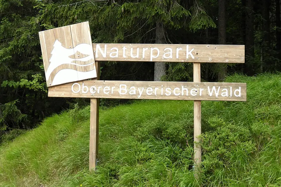 Authentischer Reisemoment in Bayerischen Wald – passend zu Busreise Bayerischer Wald in kleiner Gruppe – Tipps zur Auswahl