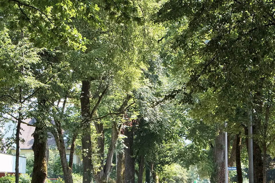 Landschaft und Sehenswürdigkeiten in Salzburg für Naturreise Salzburg mit dem Bus – Tipps zur Auswahl