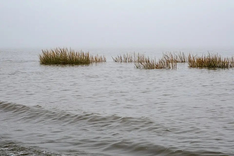 Authentischer Reisemoment in Nordsee – passend zu Busreise Nordsee in kleiner Gruppe – Reiseguide